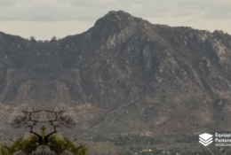 View over Zomba, Malawi